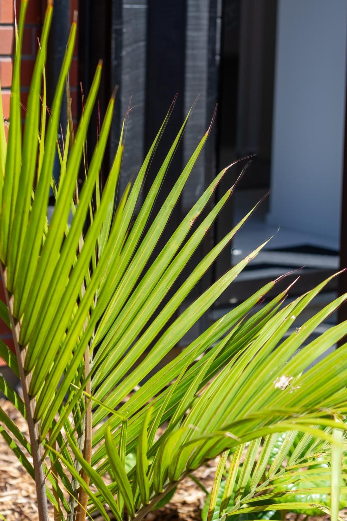 Conveniently Located 2Br Townhouse In West Akl Daire Auckland Dış mekan fotoğraf
